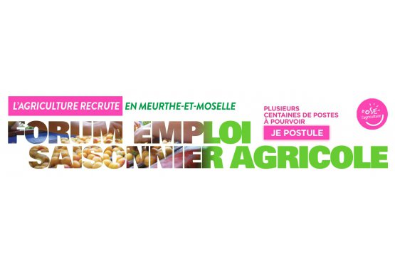 L'agriculture recrute en Meurthe-et-Moselle : plusieurs centaines de postes saisonniers à pourvoir !